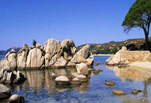 The Canyon We Must Cross: From Geology to Groundbreaking Tech